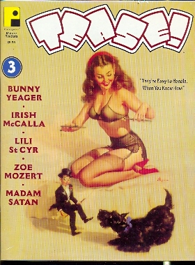 Tease ! n.3  The magazine of sexy fun