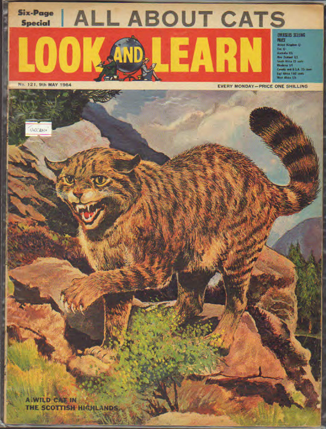 Look and Learn n.121 contiene illustrazioni di Tacconi